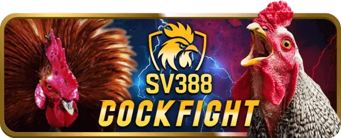 Ưu đãi độc quyền cho thành viên VIP okevip code